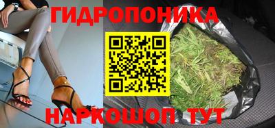 ГАЛЛЮЦИНОГЕННЫЕ ГРИБЫ Кингисепп