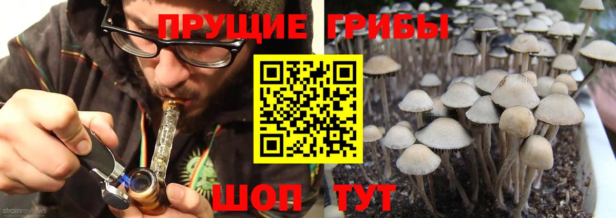 Ейск  Галлюциногенные грибы Magic Shrooms  Вход с VPN  Галлюциногенные грибы GOLDEN TEACHER 